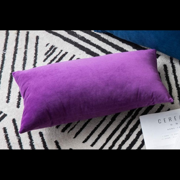 NWT Decorative velvet Pillow Covers - Picture 2 of 4